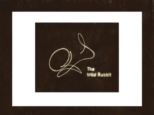 The Wild Rabbit